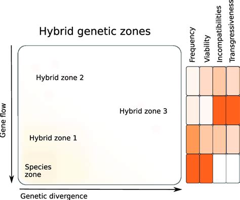 ibrids|hybrid genetics.